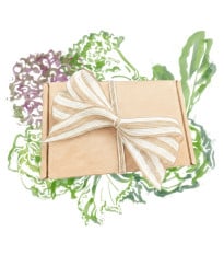 Darčekový balíček listovej zeleniny - súprava semienok