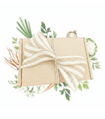 Darčekový balíček zeleniny do polievky - súprava semienok