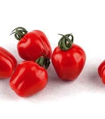 Paradajka Appleberry F1 PhR červené – Solanum lycopersicum – semená paradajok