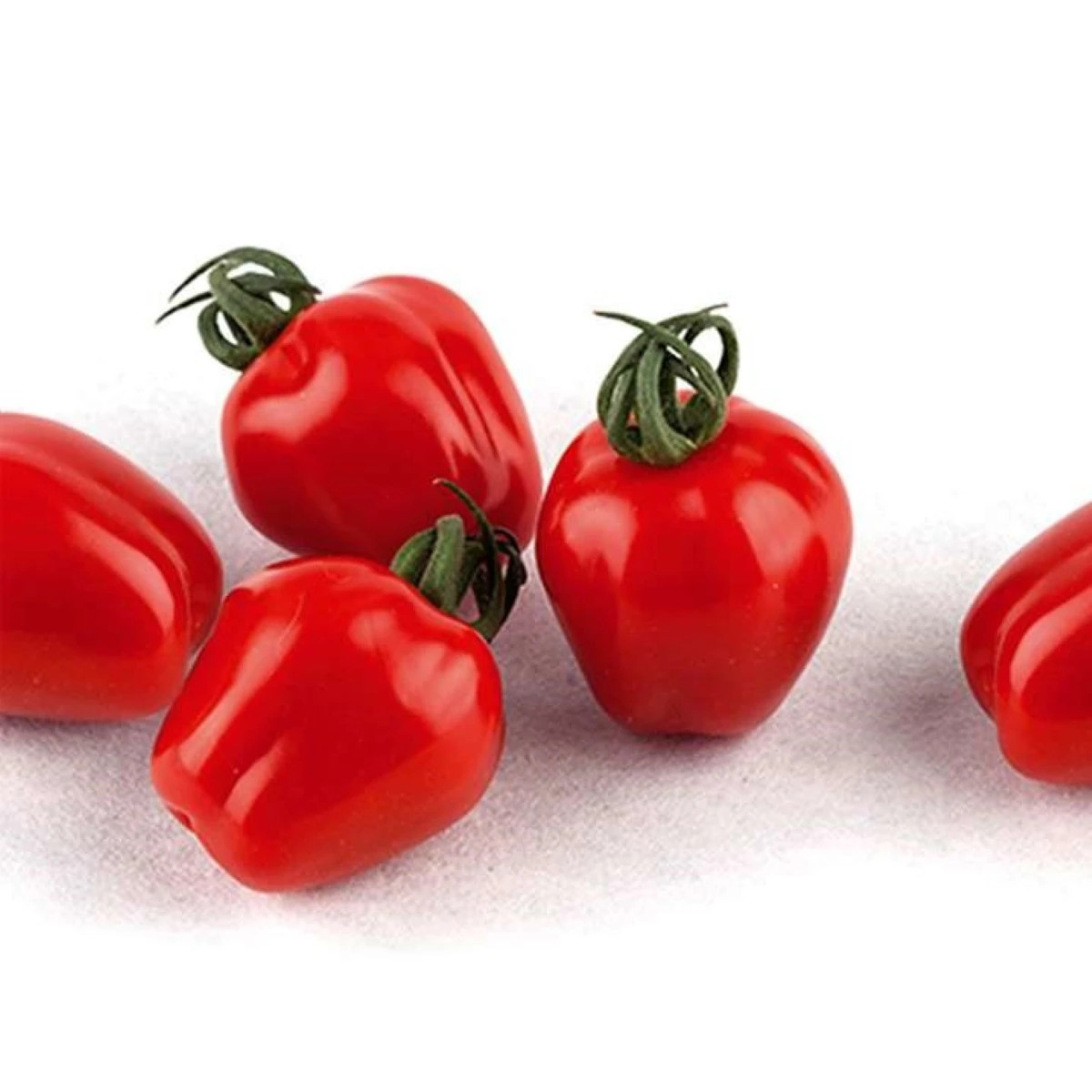 Paradajka Appleberry F1 PhR červené – Solanum lycopersicum – semená paradajok