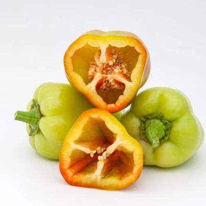 Paprika Amy - Capsicum annuum - semená papriky - 50 ks