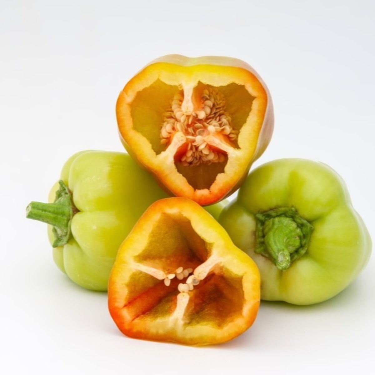 Paprika Amy - Capsicum annuum - semená papriky - 50 ks