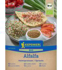 BIO Alfalfa - Lucerna - Medicago sativa - bio semená na klíčenie - 40 g