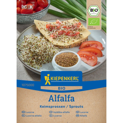 BIO Alfalfa - Lucerna - Medicago sativa - bio semená na klíčenie - 40 g