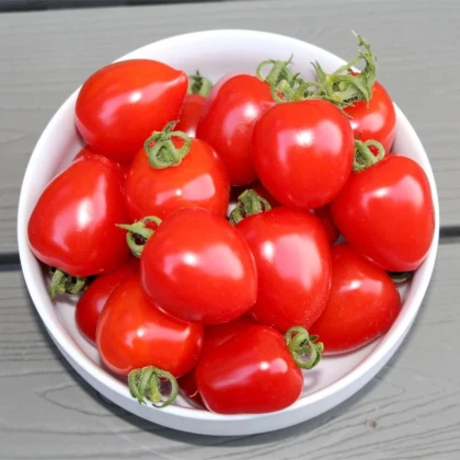 Paradajka tyčková Gardenberry F1 - Solanum lycopersicum - semená paradajky - 5 ks