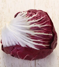 Čakanka Radicchio Indigo F1 - Cichorium intybus - semená čakanky - 20 ks