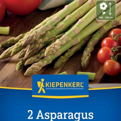 Špargľa Boonlim zelená - Asparagus officinalis - voľnokorenné sadenice špargle - 2 ks