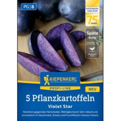 Sadbové zemiaky Violet Star - Solanum tuberosum - zemiaky - 5 ks