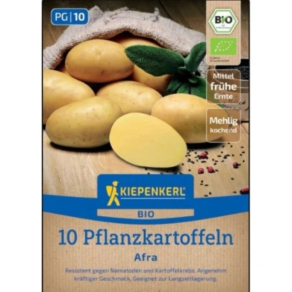 BIO sadbové zemiaky Afra - Solanum tuberosum - bio zemiaky - 10 ks
