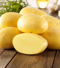 BIO sadbové zemiaky Agria - Solanum tuberosum - bio zemiaky - 10 ks