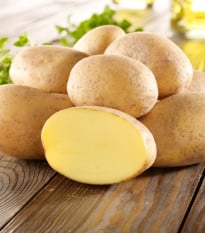 Sadbové zemiaky Gunda - Solanum tuberosum - zemiaky - 10 ks