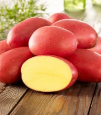 Sadbové zemiaky Laura - Solanum tuberosum - 10 ks