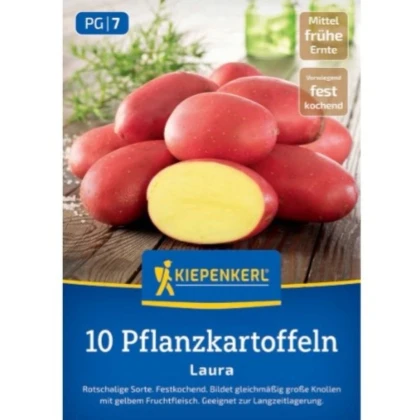Sadbové zemiaky Laura - Solanum tuberosum - 10 ks