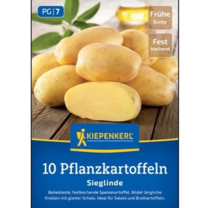 Sadbové zemiaky Sieglinde - Solanum tuberosum - zemiaky - 10 ks