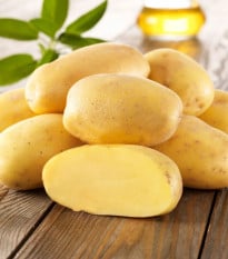 Sadbové zemiaky Sieglinde - Solanum tuberosum - zemiaky - 10 ks