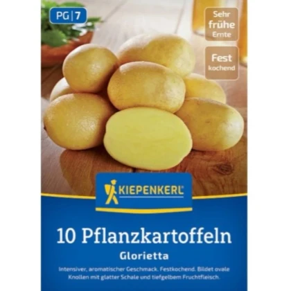 Sadbové zemiaky Glorietta - Solanum tuberosum - zemiaky - 10 ks