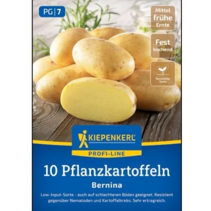 Sadbové zemiaky Bernina - Solanum tuberosum - zemiaky - 10 ks