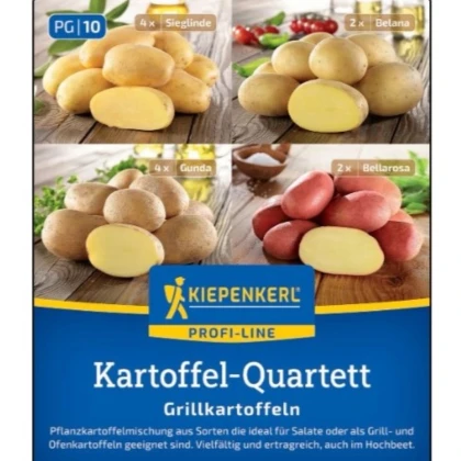 Sadbové zemiaky - 4 druhy - grilovacie - Solanum tuberosum - zemiaky - 12 ks