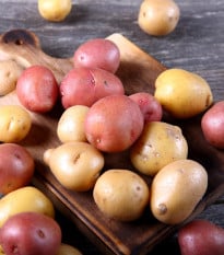 BIO sadbové zemiaky - 4 druhy - rozmanitosť - Solanum tuberosum - bio zemiaky - 12 ks