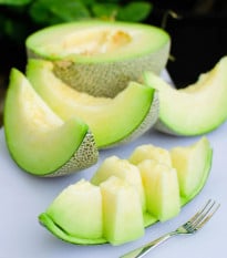 Melón Tenor F1 - Cucumis melo - semená melónu - 6 ks