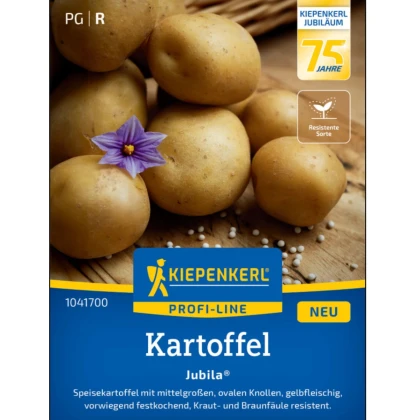 Zemiaky Jubila F1 - Solanum tuberosum - semená zemiakov - 1 ks