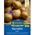 Zemiaky Jubila F1 - Solanum tuberosum - semená zemiakov - 1 ks