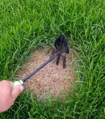 Trávnik na dosievanie Premium - semená Kiepenkerl - zmes - 25 g