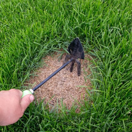 Trávnik na dosievanie Premium - semená Kiepenkerl - zmes - 25 g