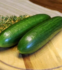 Miniuhorka šalátová La Diva - Cucumis sativus - semená uhorky - 8 ks