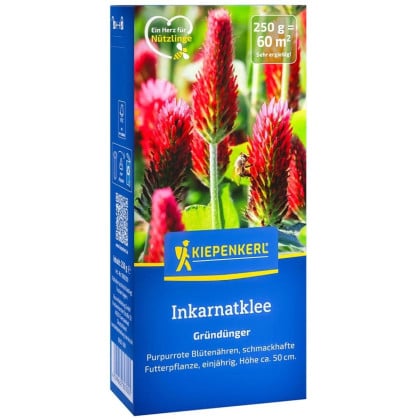 Zelené hnojenie - Ďatelina inkarnát - semená - 250 g