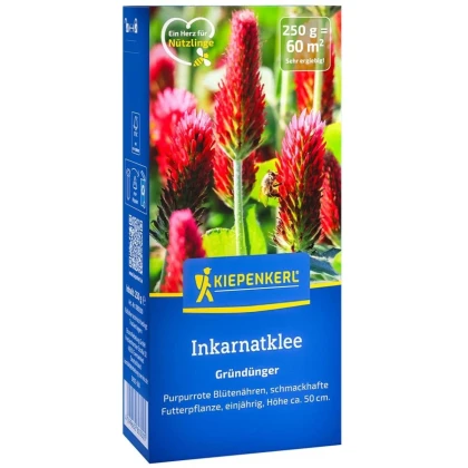 Zelené hnojenie - Ďatelina inkarnát - semená - 250 g