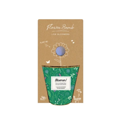 Pestovateľská súprava - Grow kit - nízkorastúca kvetinová zmes - Blossombs - 1 ks