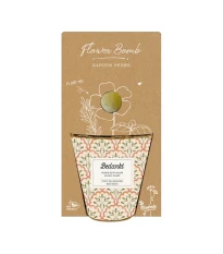 Darčeková súprava - Grow kit - zmes na pestovanie byliniek - Blossombs - 1 ks