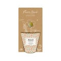 Darčeková súprava - Grow kit - zmes na pestovanie byliniek - Blossombs - 1 ks