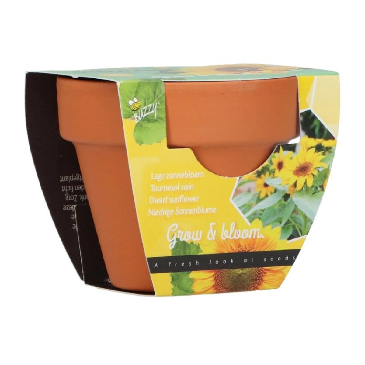 Buzzy Grow Gifts - Minisúprava na pestovanie slnečnice - Pieterpik - 1 ks
