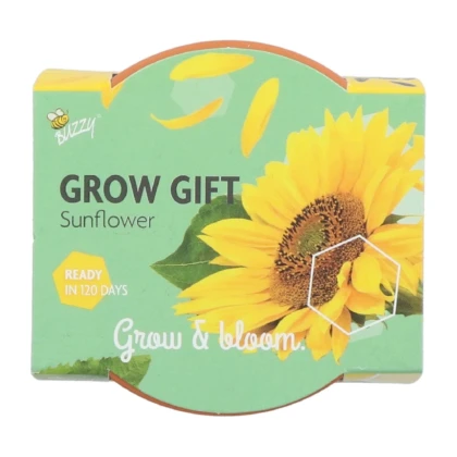 Buzzy Grow Gifts - Minisúprava na pestovanie slnečnice - Pieterpik - 1 ks