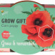 Buzzy Grow Gifts - Minisúprava na pestovanie maku - Pieterpik - 1 ks