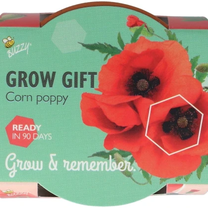 Buzzy Grow Gifts - Minisúprava na pestovanie maku - Pieterpik - 1 ks