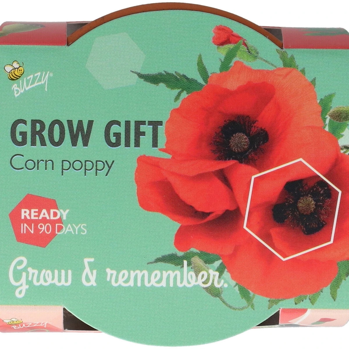 Buzzy Grow Gifts - Minisúprava na pestovanie maku - Pieterpik - 1 ks