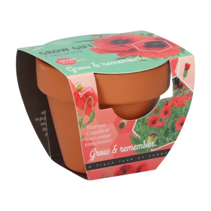 Buzzy Grow Gifts - Minisúprava na pestovanie maku - Pieterpik - 1 ks
