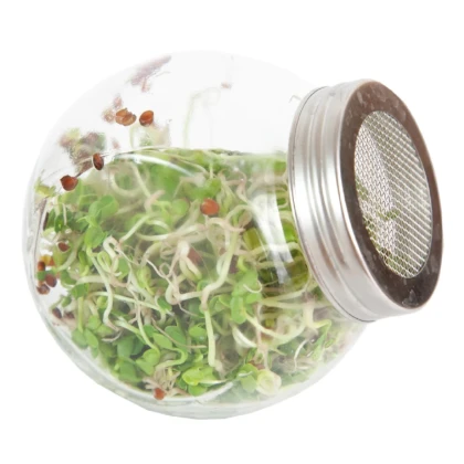 Buzzy - Bio klíčiaci pohár Daikon - Pieterpik - 1 ks