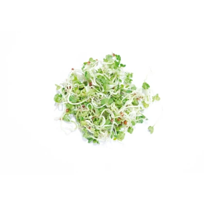 Buzzy - Bio klíčiaci pohár Daikon - Pieterpik - 1 ks