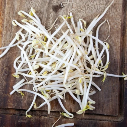 Buzzy - Bio klíčiaci pohár Mungo - Pieterpik - 1 ks