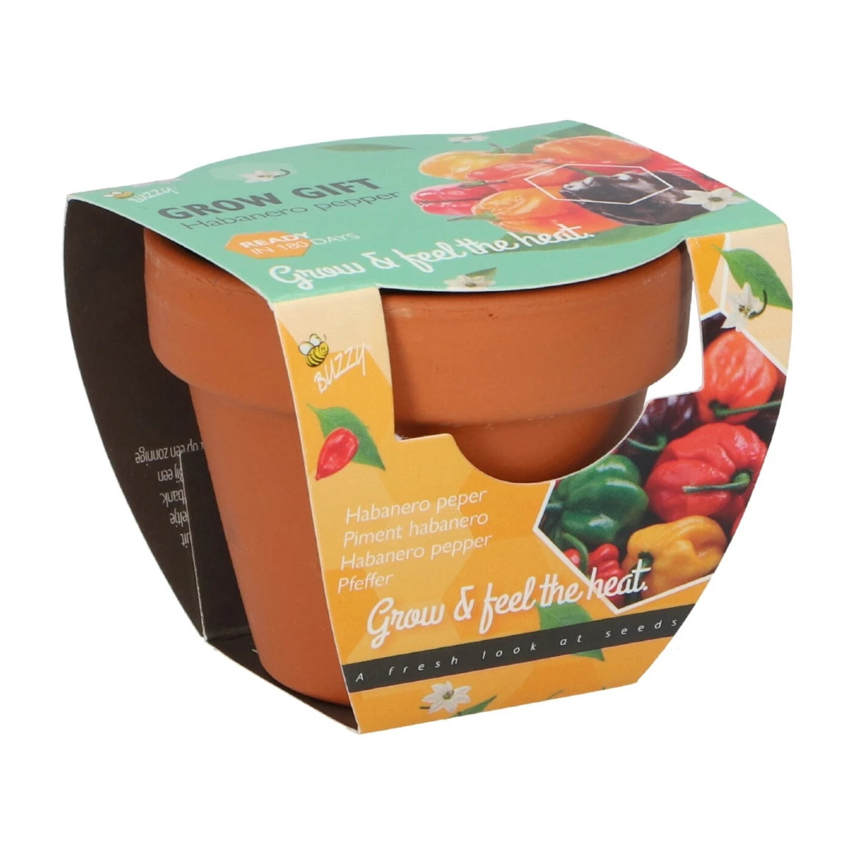 Buzzy Grow Gifts - Minisada na pestovanie papriky - Pieterpik - 1 ks