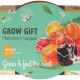 Buzzy Grow Gifts - Minisada na pestovanie papriky - Pieterpik - 1 ks