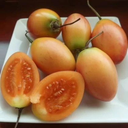 Paradajkový strom žltý Tamarillo - Cyphomandra betacea - semená paradajkového stromu - 5 ks