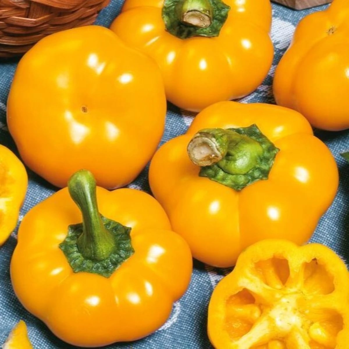 Paprika ročná Topepo giallo - Capsicum annuum - semená papriky - 20 ks