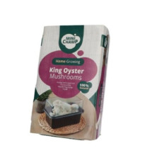 Mini Champ - súprava pre domáce pestovanie hlivy kráľovskej - Pleurotus eryngii - 1 ks