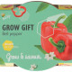 Buzzy Grow Gifts - Minisúprava na pestovanie papriky - Pieterpik - 1 ks