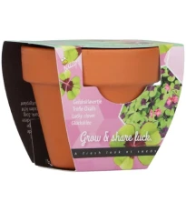 Buzzy Grow Gifts – Minisúprava na pestovanie štvorlístka - Pieterpik - 1 ks